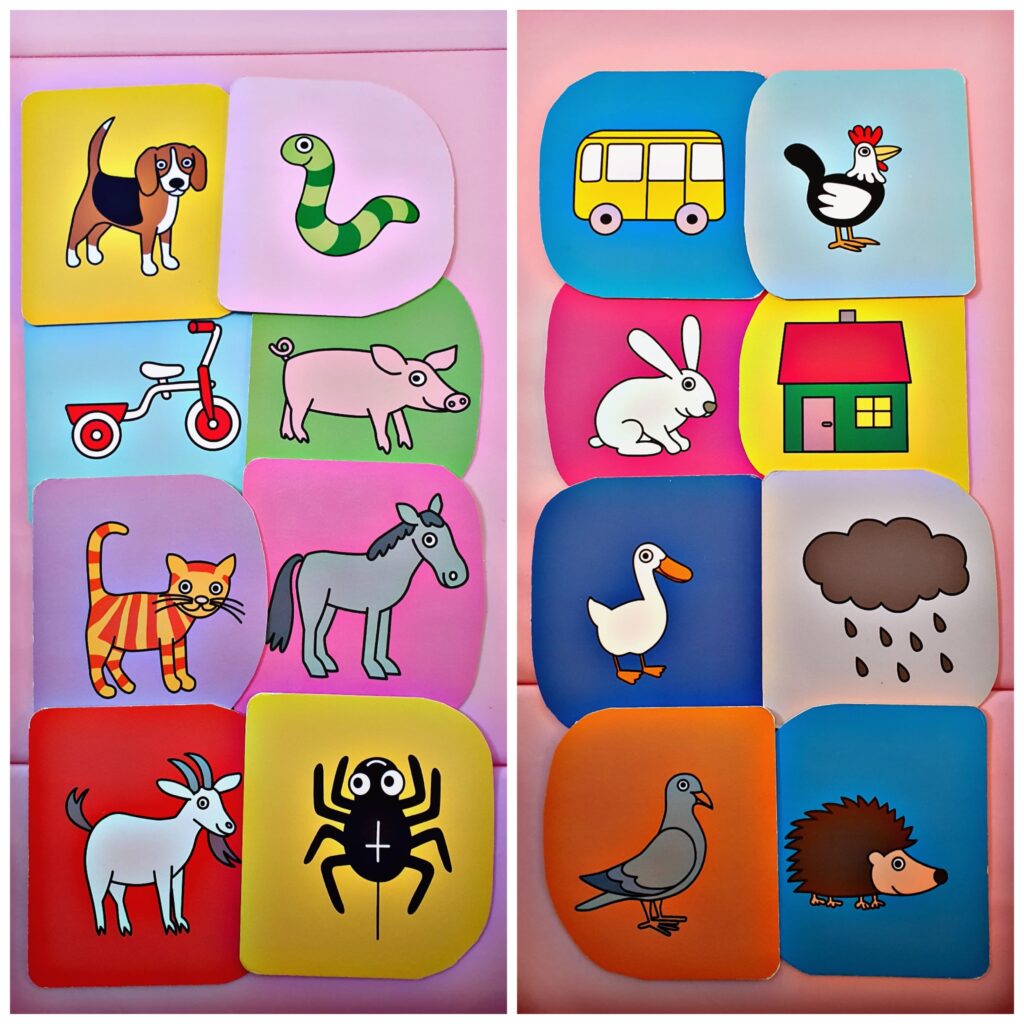 141551341_845623292667154_2224388294846154980_n